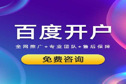 搜索引擎推广的佼佼者——百度搜索推广案例